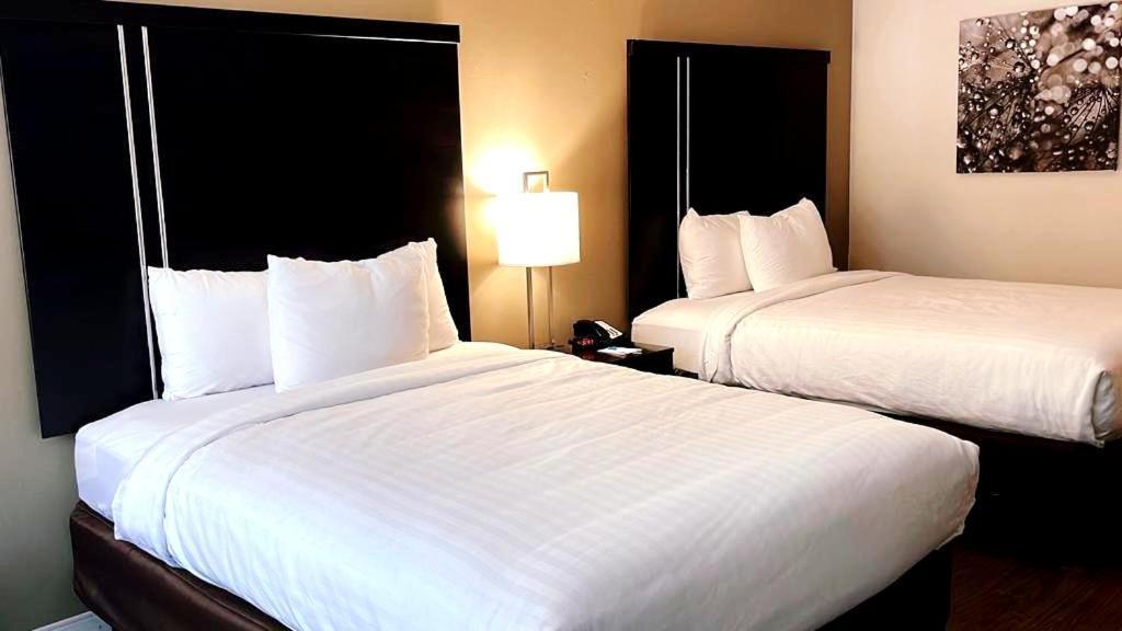 Clarion Inn & Suites Florence Zewnętrze zdjęcie
