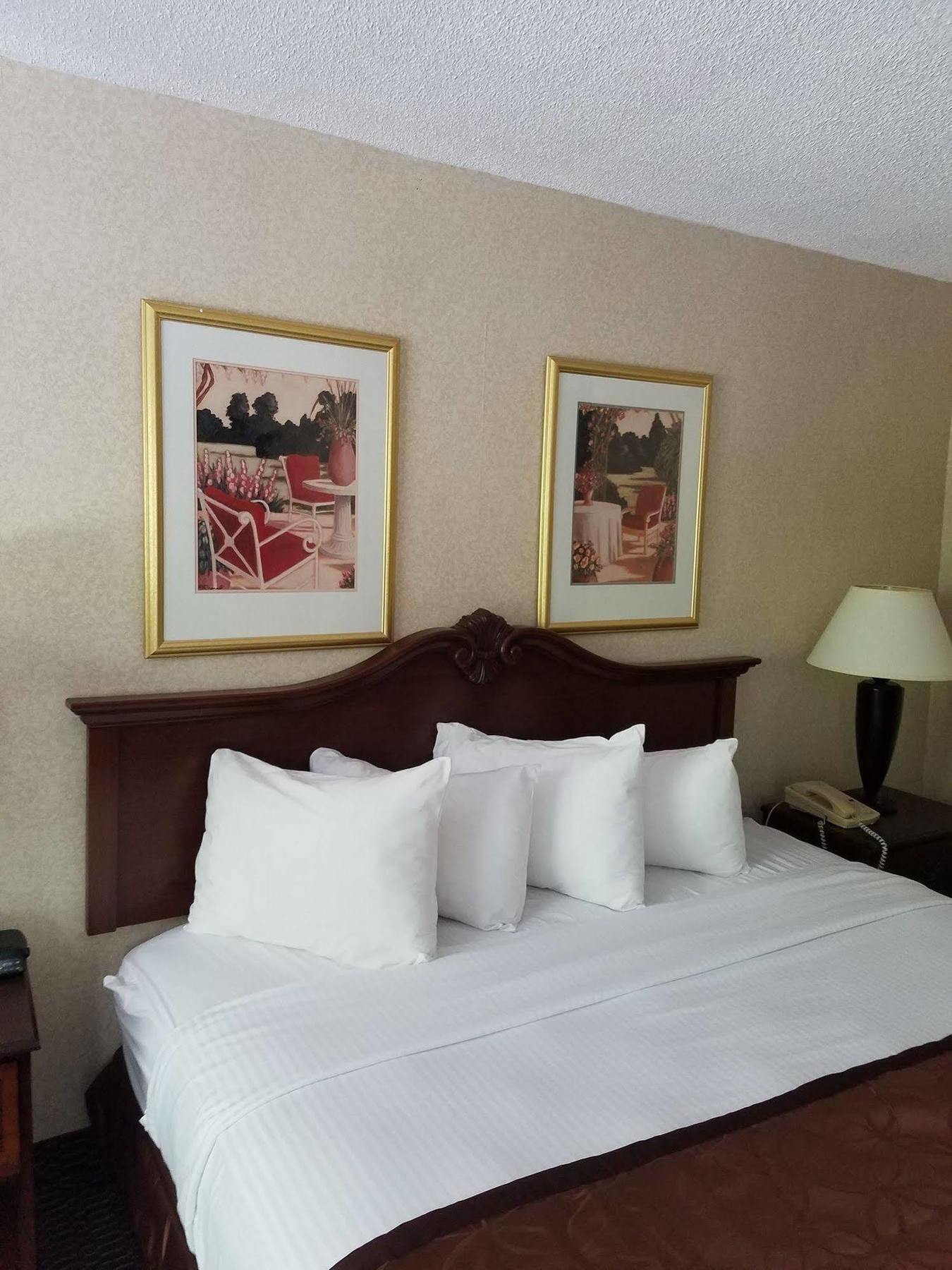 Clarion Inn & Suites Florence Zewnętrze zdjęcie